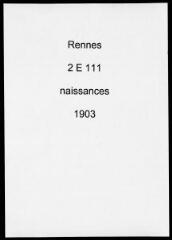 295 vues  dont 2 indexées - Registre des naissances (1903). (ouvre la visionneuse)
