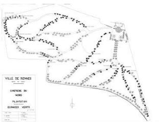 1 vue - Lié à 1724 W 32 - Plan en noir et blanc n° EV_0306 du cimetière du Nord, plantations. (ouvre la visionneuse)